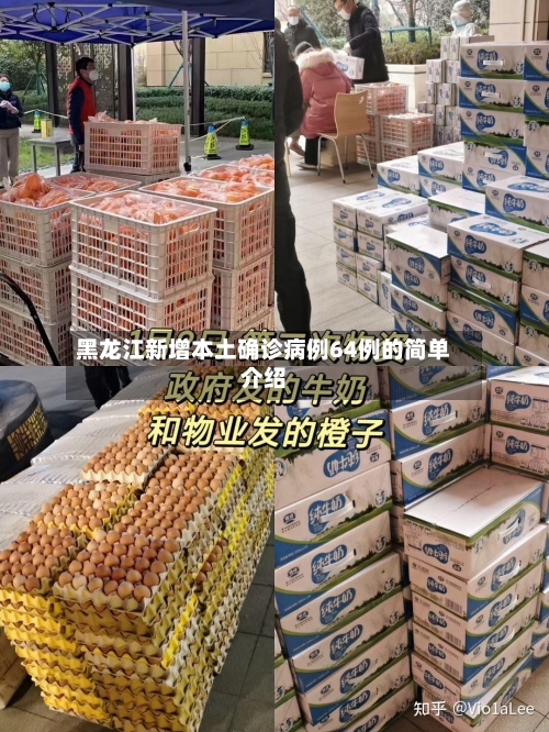 黑龙江新增本土确诊病例64例的简单介绍-第3张图片