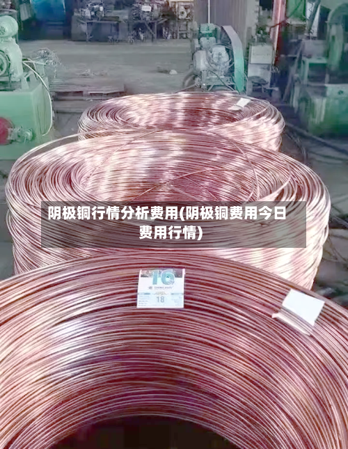 阴极铜行情分析费用(阴极铜费用今日费用行情)