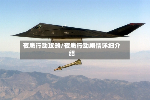 夜鹰行动攻略/夜鹰行动剧情详细介绍