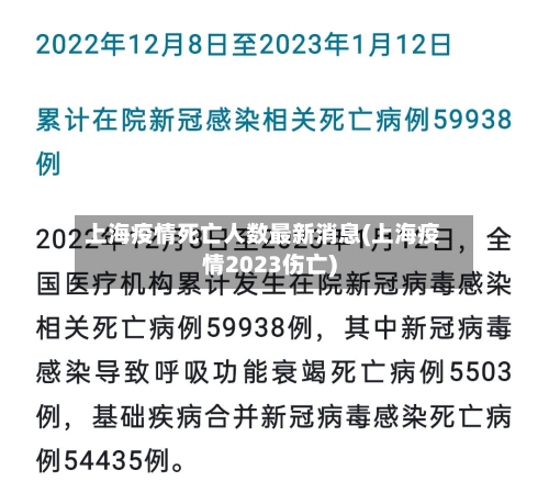 上海疫情死亡人数最新消息(上海疫情2023伤亡)-第2张图片