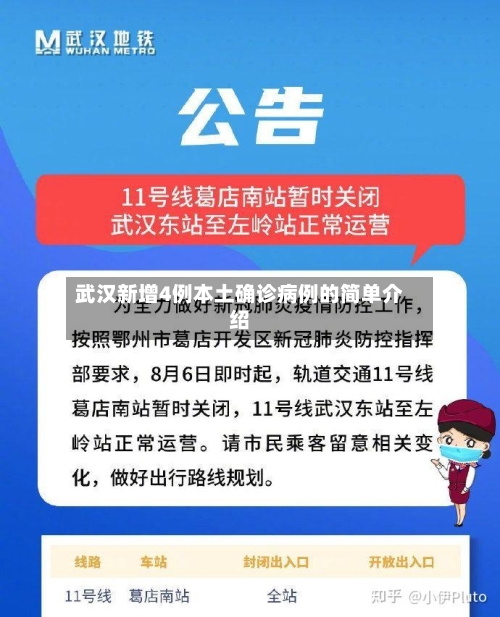 武汉新增4例本土确诊病例的简单介绍