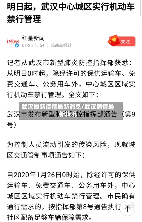 武汉最新疫情最新消息/武汉病情最新状况-第2张图片