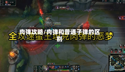 肉弹攻略/肉弹和普通子弹的区别