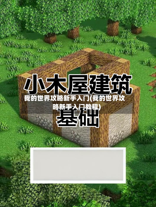 我的世界攻略新手入门(我的世界攻略新手入门教程)