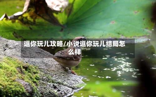 逗你玩儿攻略/小说逗你玩儿结局怎么样