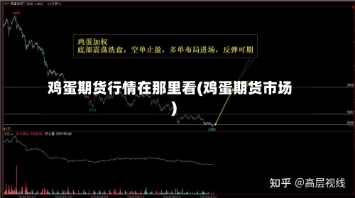 鸡蛋期货行情在那里看(鸡蛋期货市场)-第3张图片