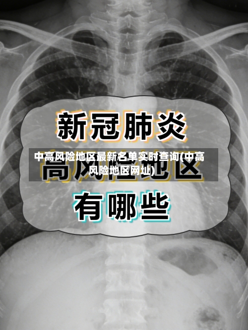 中高风险地区最新名单实时查询(中高风险地区网址)-第2张图片