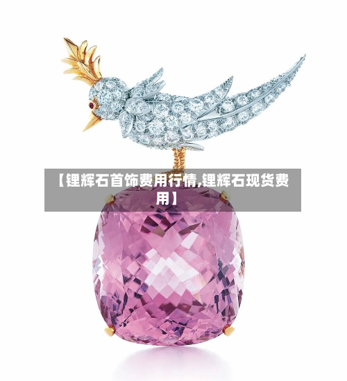【锂辉石首饰费用行情,锂辉石现货费用】