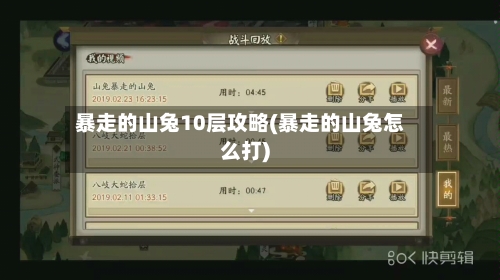 暴走的山兔10层攻略(暴走的山兔怎么打)