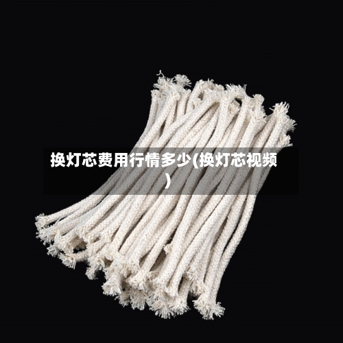 换灯芯费用行情多少(换灯芯视频)