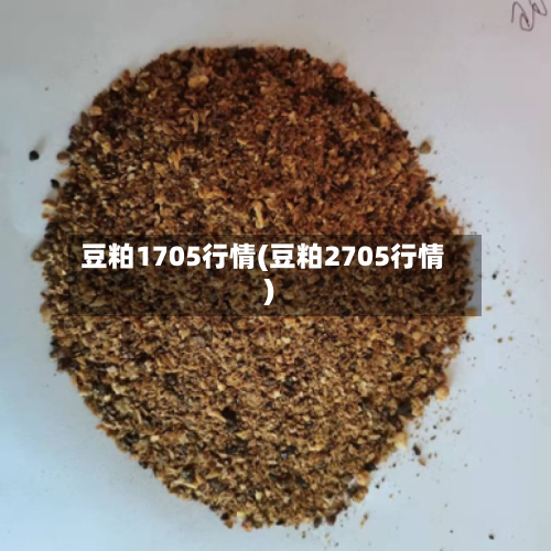 豆粕1705行情(豆粕2705行情)
