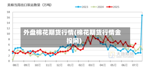 外盘棉花期货行情(棉花期货行情金投网)-第3张图片