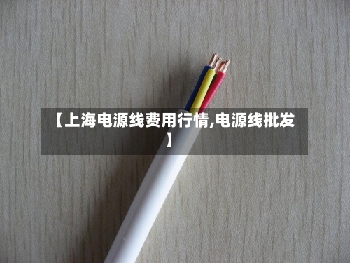 【上海电源线费用行情,电源线批发】-第3张图片