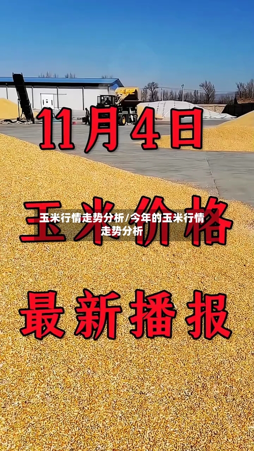 玉米行情走势分析/今年的玉米行情走势分析-第3张图片