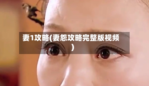 妻1攻略(妻怨攻略完整版视频)
