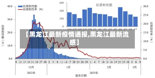 【黑龙江最新疫情通报,黑龙江最新流感】-第2张图片