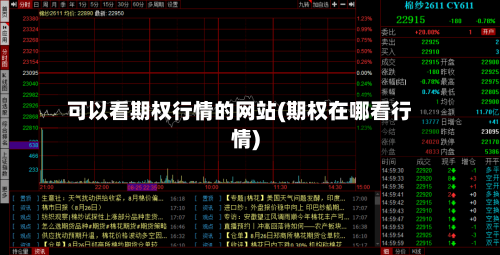 可以看期权行情的网站(期权在哪看行情)