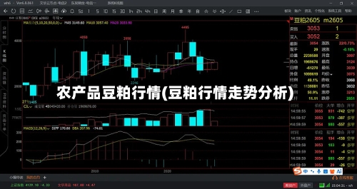 农产品豆粕行情(豆粕行情走势分析)-第2张图片