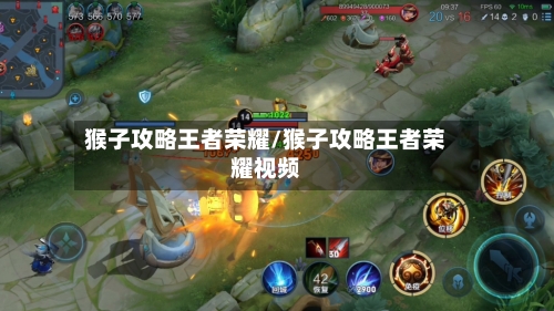 猴子攻略王者荣耀/猴子攻略王者荣耀视频-第2张图片