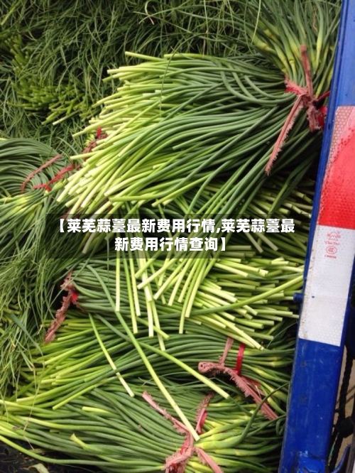 【莱芜蒜薹最新费用行情,莱芜蒜薹最新费用行情查询】-第1张图片
