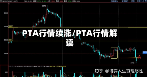 PTA行情续涨/PTA行情解读-第1张图片