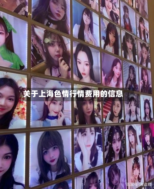 关于上海色情行情费用的信息-第1张图片