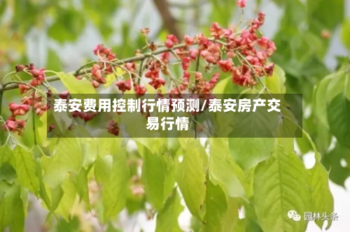 泰安费用控制行情预测/泰安房产交易行情-第1张图片