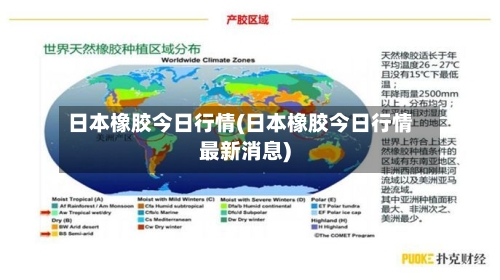 日本橡胶今日行情(日本橡胶今日行情最新消息)-第1张图片