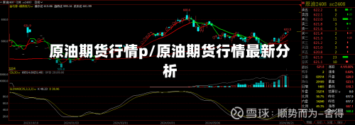 原油期货行情p/原油期货行情最新分析-第1张图片