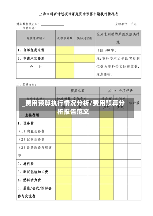 _费用预算执行情况分析/费用预算分析报告范文-第1张图片