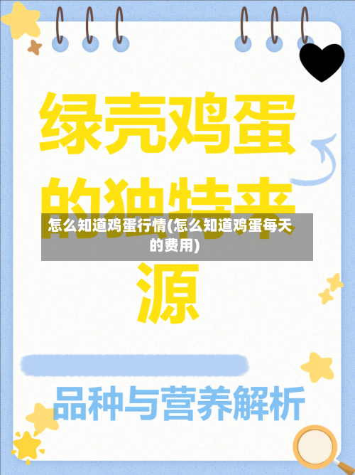 怎么知道鸡蛋行情(怎么知道鸡蛋每天的费用)-第1张图片