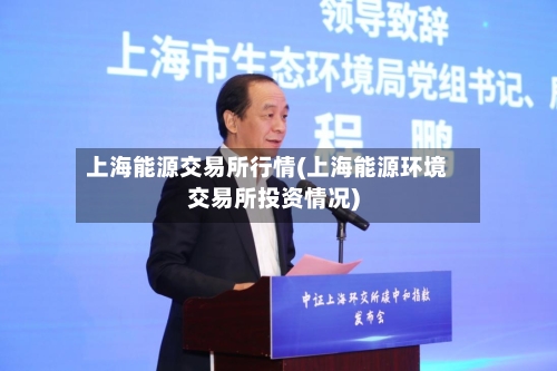 上海能源交易所行情(上海能源环境交易所投资情况)
