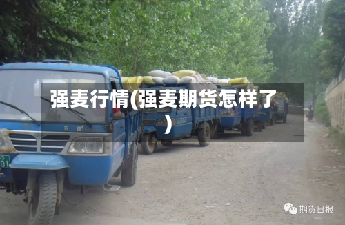 强麦行情(强麦期货怎样了)-第2张图片