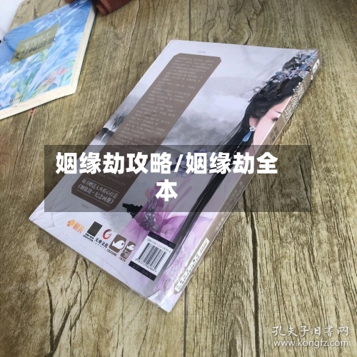 姻缘劫攻略/姻缘劫全本