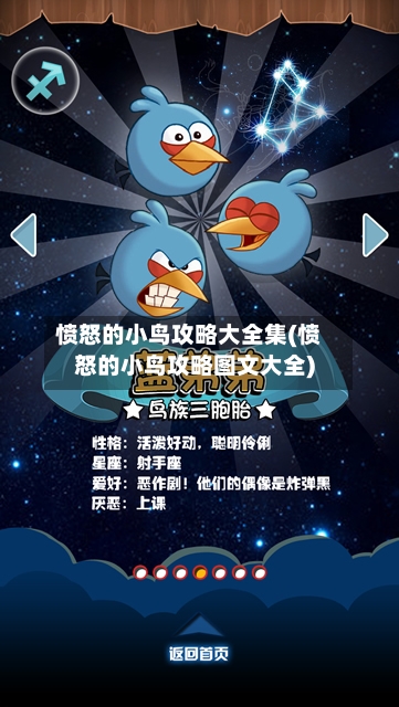 愤怒的小鸟攻略大全集(愤怒的小鸟攻略图文大全)