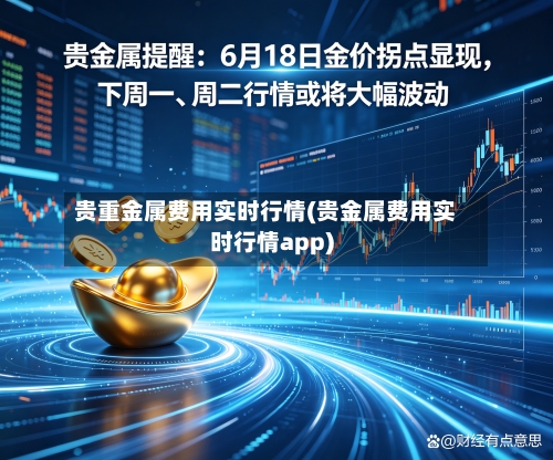 贵重金属费用实时行情(贵金属费用实时行情app)-第2张图片