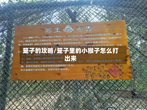 笼子的攻略/笼子里的小猴子怎么打出来-第2张图片
