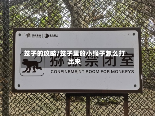 笼子的攻略/笼子里的小猴子怎么打出来-第3张图片