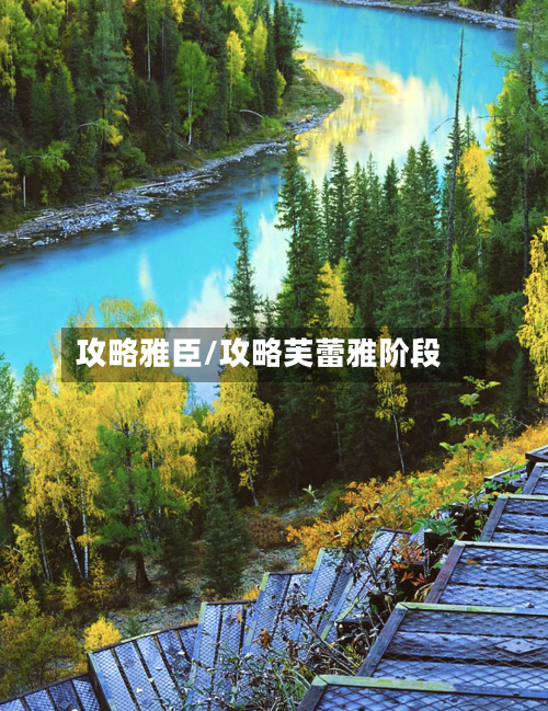 攻略雅臣/攻略芙蕾雅阶段
