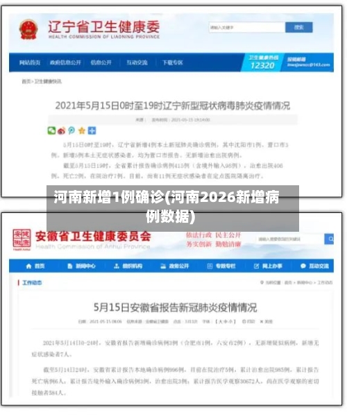 河南新增1例确诊(河南2026新增病例数据)-第2张图片