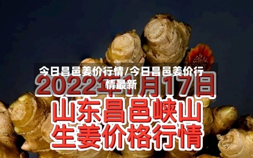 今日昌邑姜价行情/今日昌邑姜价行情最新-第3张图片