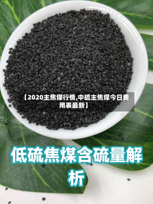 【2020主焦煤行情,中硫主焦煤今日费用表最新】