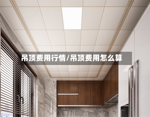 吊顶费用行情/吊顶费用怎么算-第2张图片