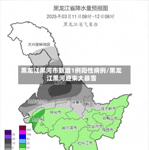 黑龙江黑河市新增1例阳性病例/黑龙江黑河迎来大暴雪-第2张图片