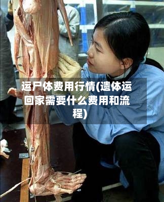 运尸体费用行情(遗体运回家需要什么费用和流程)