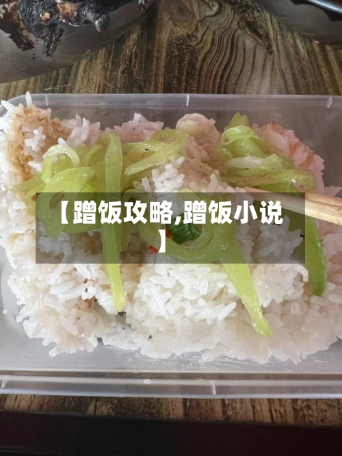 【蹭饭攻略,蹭饭小说】-第2张图片