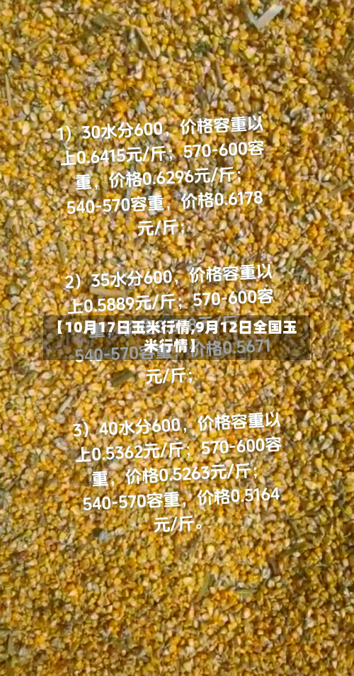 【10月17日玉米行情,9月12日全国玉米行情】
