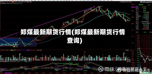 郑煤最新期货行情(郑煤最新期货行情查询)-第3张图片