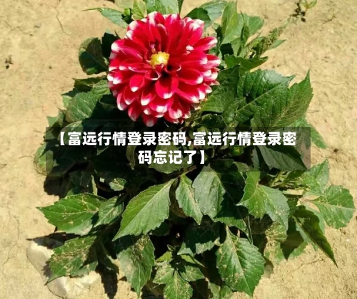 【富远行情登录密码,富远行情登录密码忘记了】