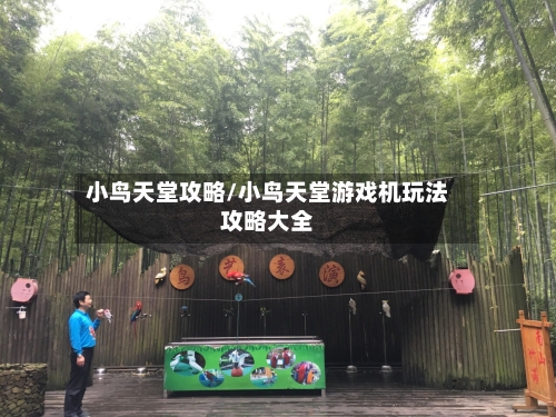 小鸟天堂攻略/小鸟天堂游戏机玩法攻略大全-第1张图片